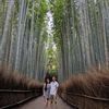 lillian_trinh